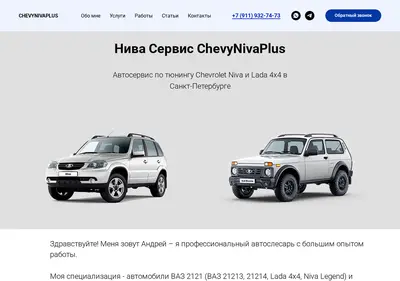 Снимок главной страницы chevynivaplus.ru