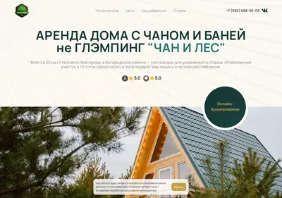 Снимок главной страницы chaniles.ru