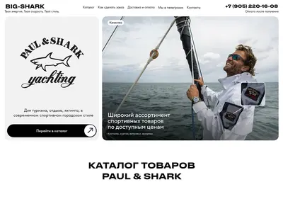 Снимок главной страницы big-shark.ru