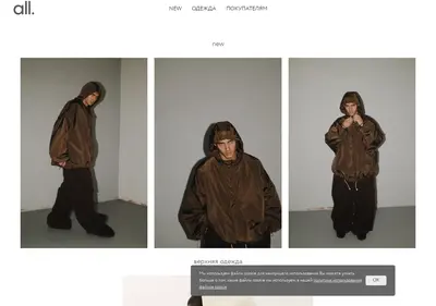 Снимок главной страницы all-onlineshop.ru