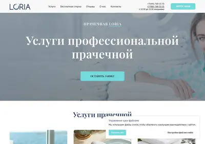 Снимок главной страницы loria.su