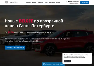 Снимок главной страницы belgee-carsfamily.ru
