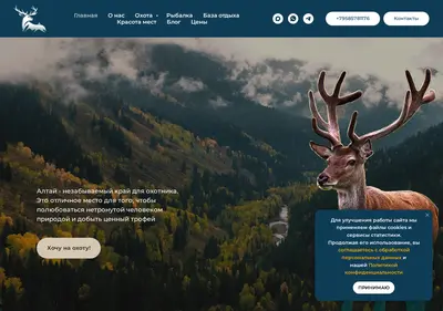 Снимок главной страницы altai-hant.ru