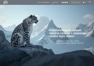 Снимок главной страницы altayirbis.ru