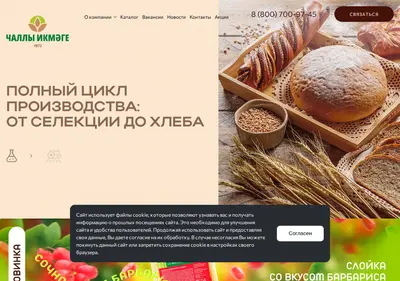 Снимок главной страницы chelny-hleb.ru