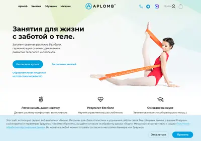 Снимок главной страницы aplomb.ru