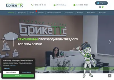 Снимок главной страницы briketts.ru