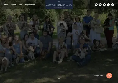 Снимок главной страницы cavalierking.su