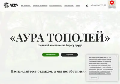 Снимок главной страницы auratopoley.ru