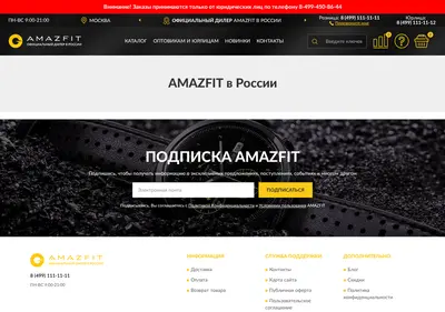 Снимок главной страницы amazshop.ru