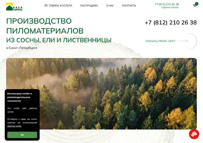 Снимок главной страницы baza-murino.ru