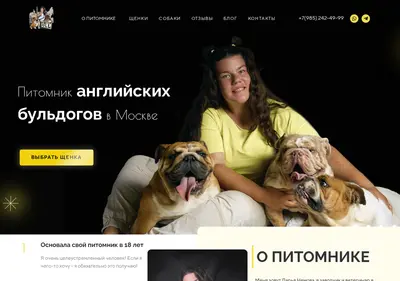 Снимок главной страницы bullmsk.ru