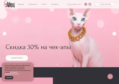 Снимок главной страницы 8vet.ru