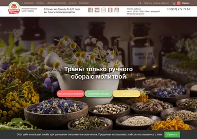 Снимок главной страницы sila-v-travah.su