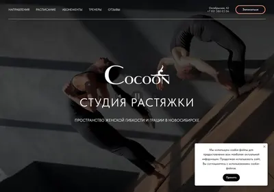 Снимок главной страницы cocoon-nsk.ru