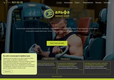 Снимок главной страницы alfa-wellness.ru