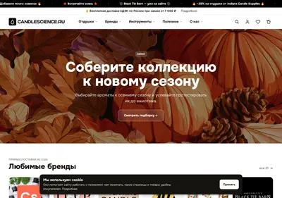 Снимок главной страницы candlescience.ru