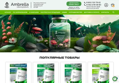 Снимок главной страницы ambrella-altay.ru