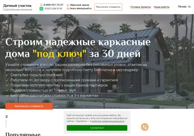 Снимок главной страницы bruss-doma.ru