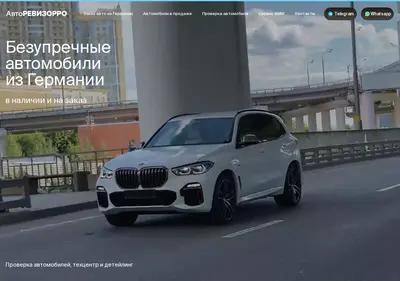 Снимок главной страницы avtorevizorro.ru