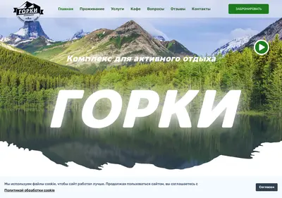 Снимок главной страницы bazagorki.ru