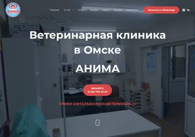 Снимок главной страницы animaomsk.ru