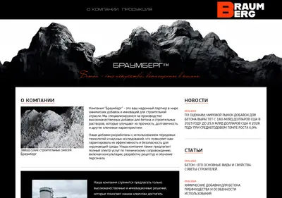 Снимок главной страницы braumberg.ru