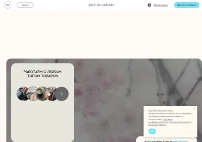 Снимок главной страницы buyinjapan.ru