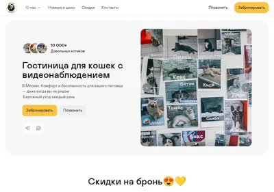 Снимок главной страницы catretreat.ru