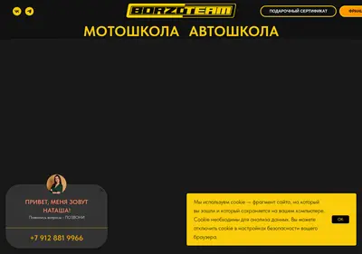 Снимок главной страницы borzoteam.ru