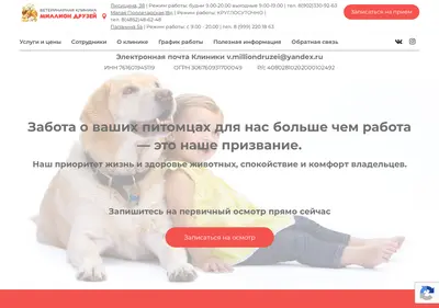 Снимок главной страницы 1000000druzey.ru