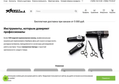 Снимок главной страницы artaius.ru