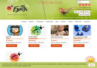 Снимок главной страницы bfevita.ru