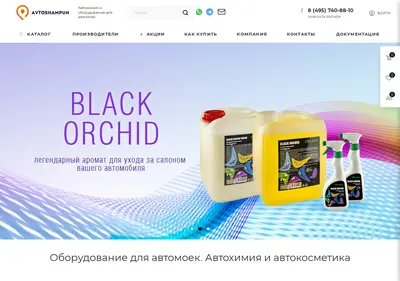 Снимок главной страницы avtoshampun.ru