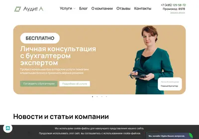 Снимок главной страницы audita.ru