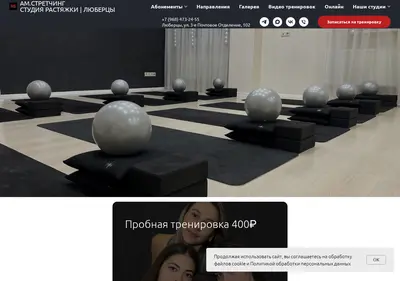 Снимок главной страницы am-stretching.ru