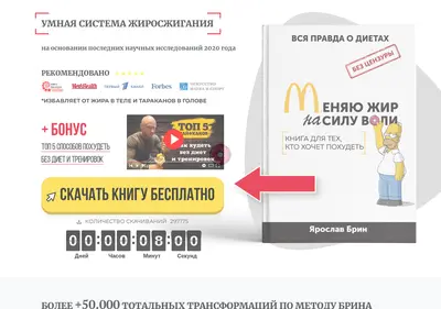 Снимок главной страницы brinbook.ru