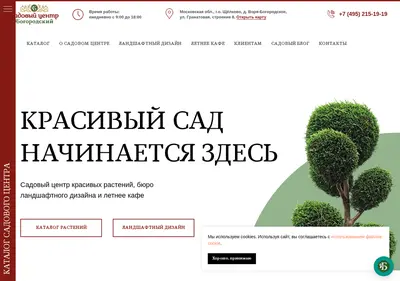 Снимок главной страницы 2151919.ru